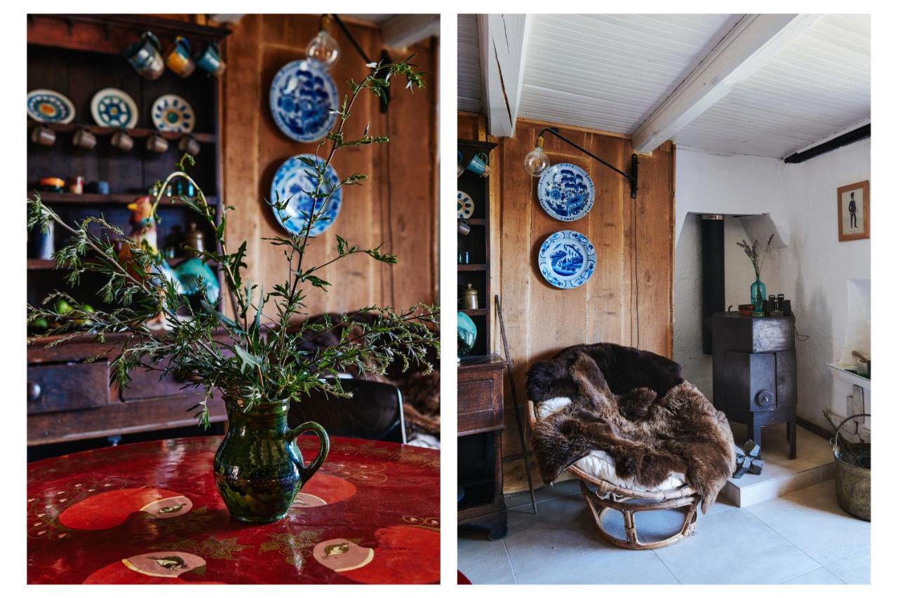 Rustic Fireplace Hotel Comfort Jaccuzi Dog Friend Bourg-Saint-Maurice Eksteriør billede